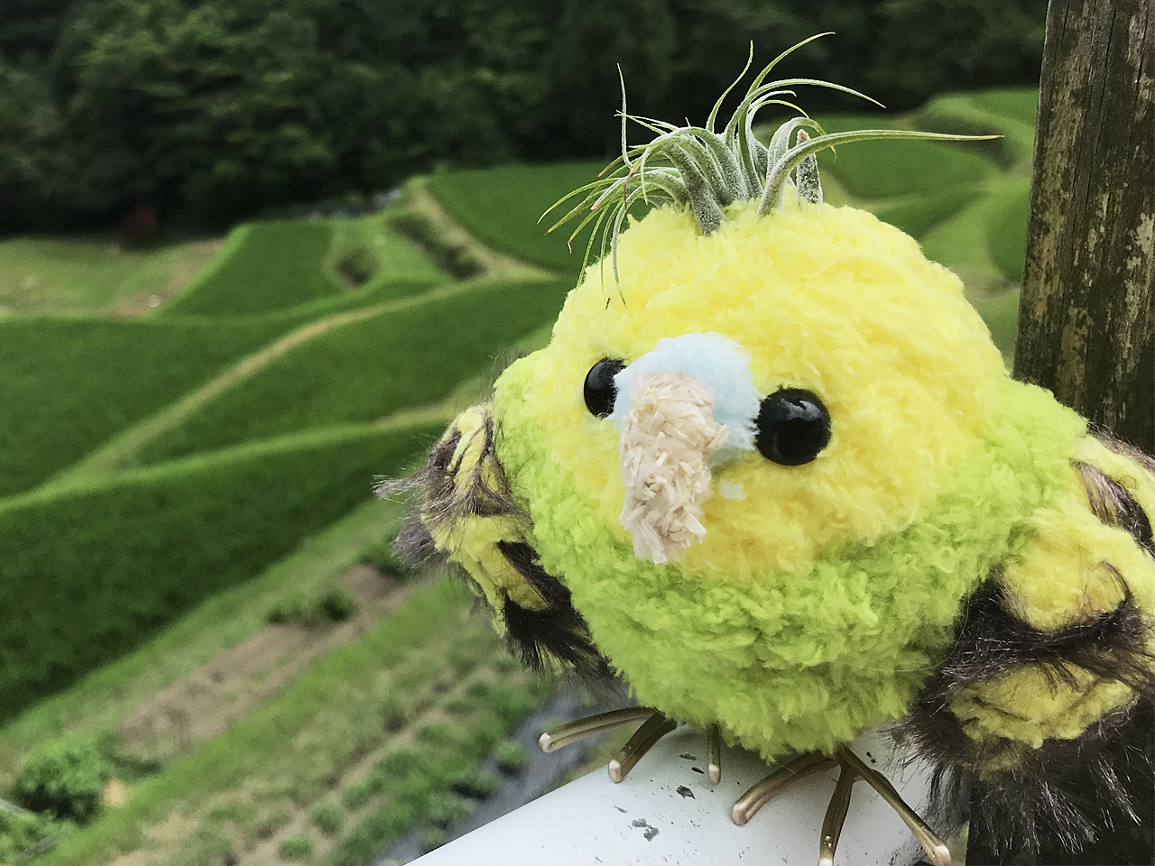 yg킸̑ۂAĂ܂B̒łȒPEɐA琬I