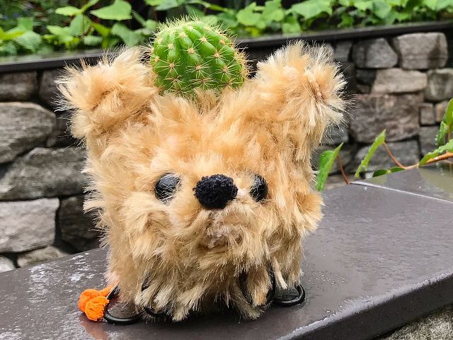 アタマの植物を育てるカラフル苔玉『モスペット』を作る体験です!犬・猫はもちろん、お好きな動物をお作りいただけます。