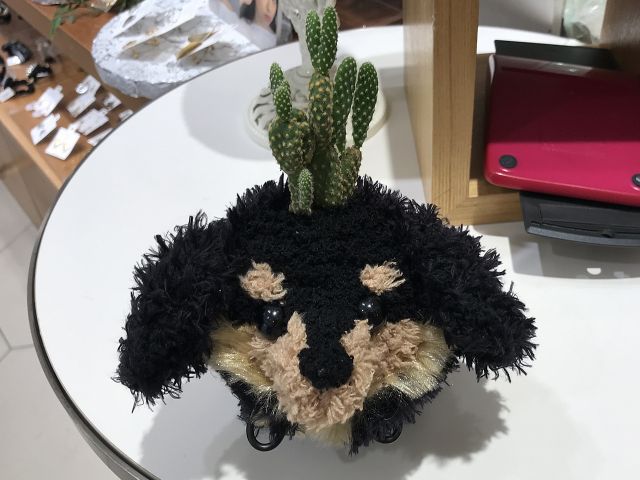 我が家のペットをモスペットに、なんていうのもOK!植物は★エアープランツ(大)、★多肉植物3種寄せ植え、★ラブハート(ハート型)、★サボテン から選べます!