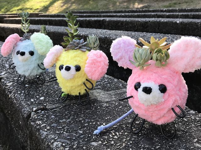 多肉植物3種の寄せ植えVer.。実在する動物はもちろん、ぬいぐるみのようにPOPな表現をするのもOKです!