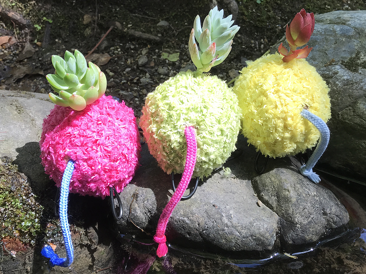 ����2��A�����ۂ������ɐZ�������I�A�^�}�ɑ}���������A����������萬�������ł��I