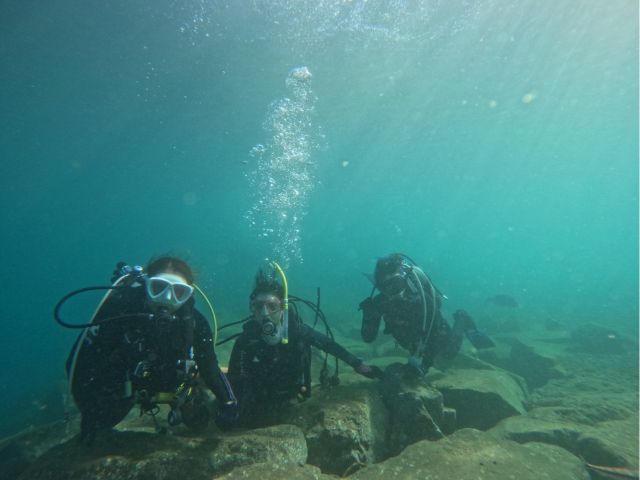 海の生物が間近に見えるかも♪