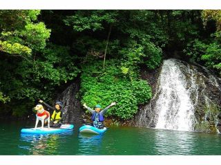 大型ワンちゃんも一緒にSUP!