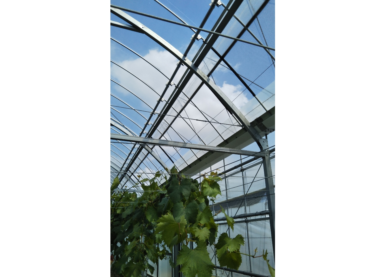 VATChI[vɂȂ܂B@CƋɃRi΍II@Ԃǂ\񐧂ɂĖI@AR[ŉtpӂĂ܂B