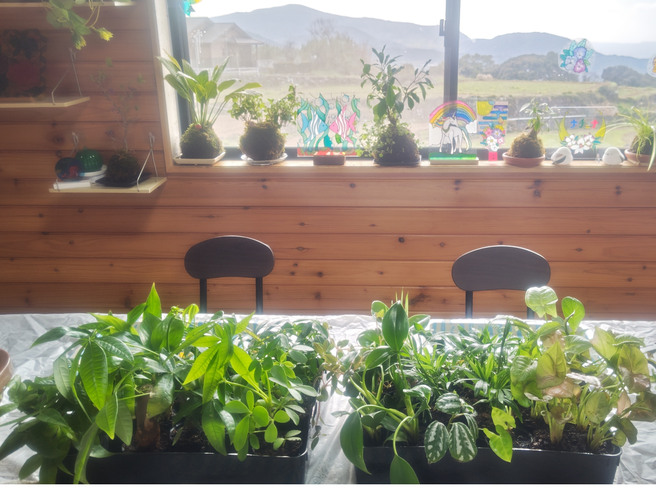 植物を選ぶところから♪