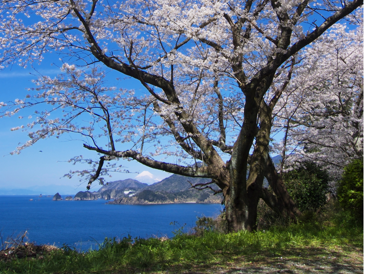 RW]@@20@dAVXgR@⓹炭炭@XCXC