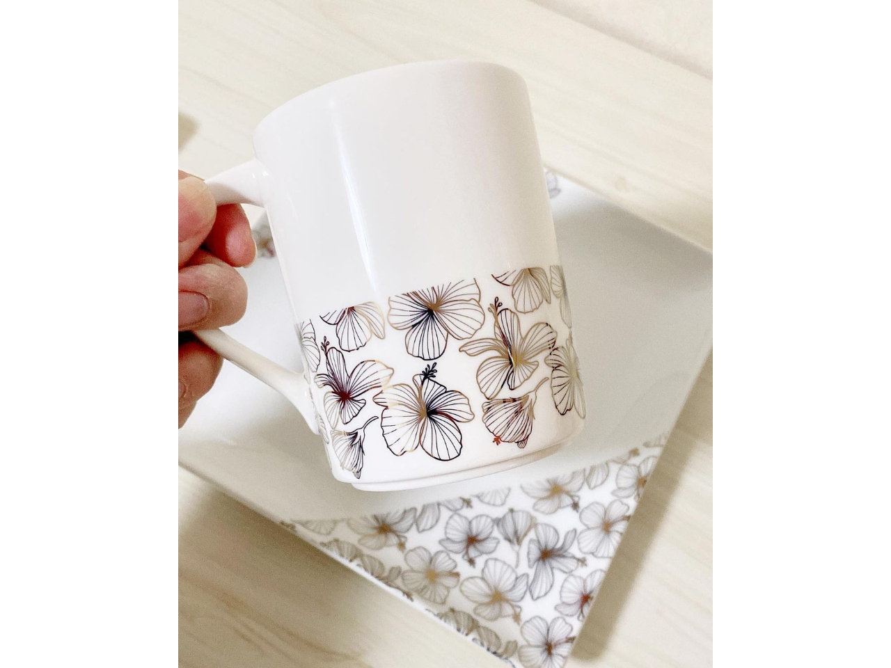 C[WFLL̃nCrXJX̃}OJbvƃv[g̃Zbg