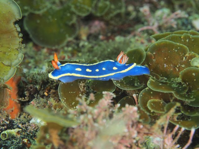海の生物たちがお出迎え★