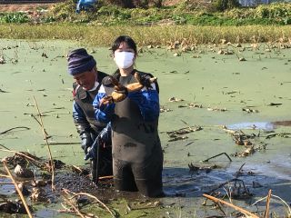 おお、こんなデッカイの採れたよ!