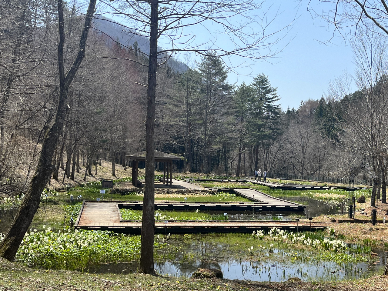 ���̏�������������΁A�����̔Y�݂��ꂪ���[�[�[���Ɨn���Ă����܂�