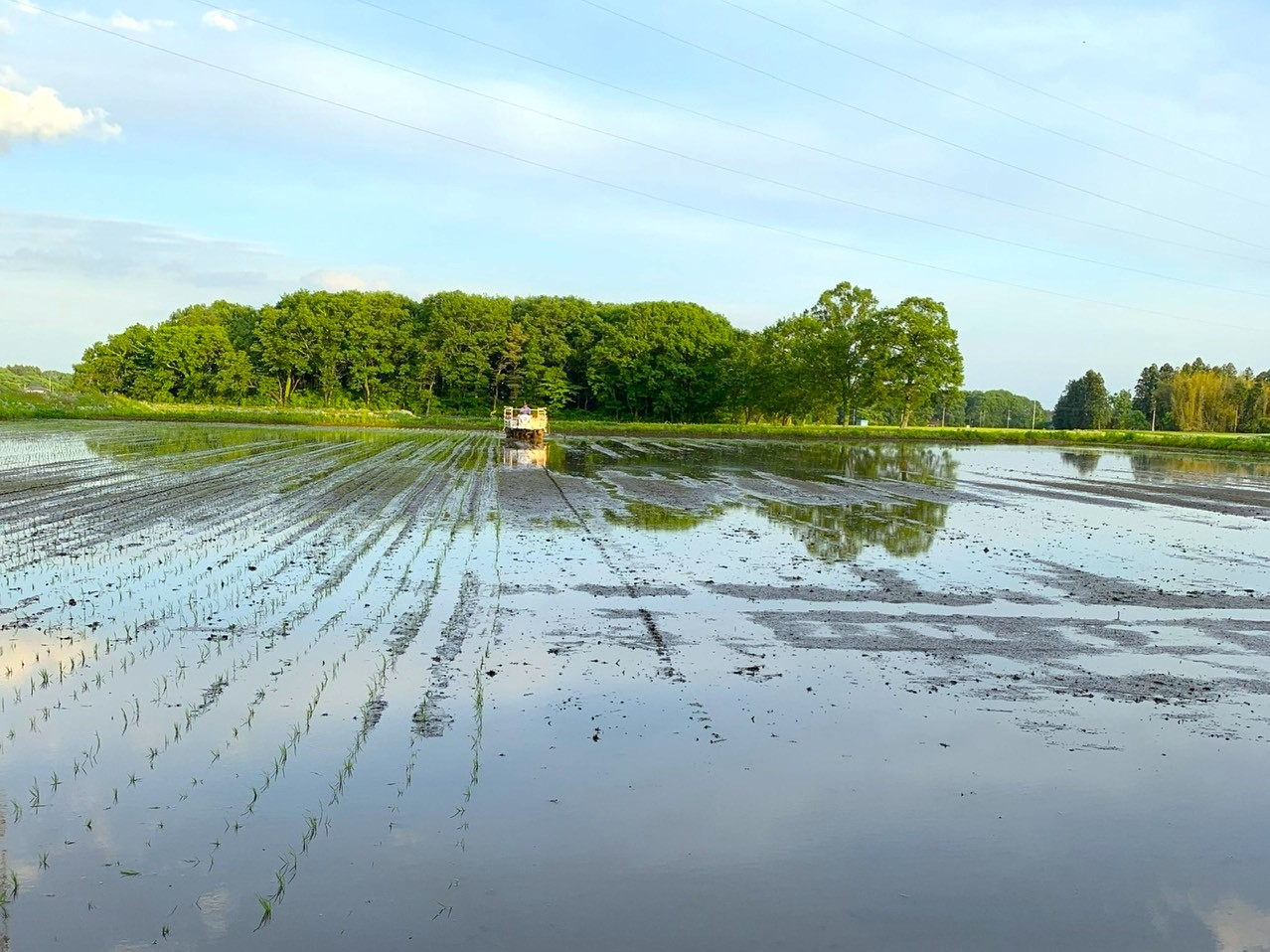 �L�`���c��ڂŁA�v��������\�ꂿ�Ⴈ���I�I