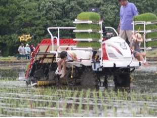 �c�A���̌��A�c�A���@�ɂ�������Ⴂ�܂��I