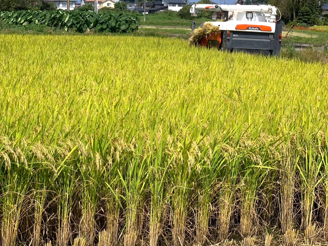 �����̌��A�R���o�C���ɂ�������Ⴄ���I�I