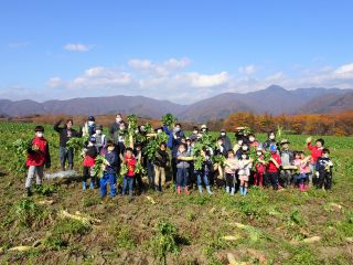 見渡す限り、畑と山と空!!大根とったどーー!