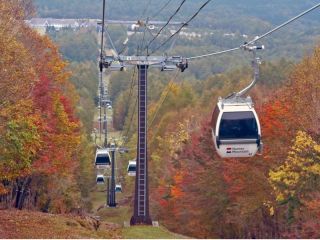 ゴンドラに乗っての天空紅葉遊覧