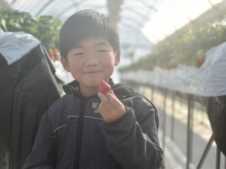 おいしいいちご、食べにきてね〜♪