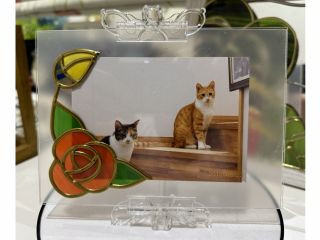 アクリル板で挟む簡単フォトフレームに薔薇の飾りをつけましょう(猫の写真は我が家の看板猫達)