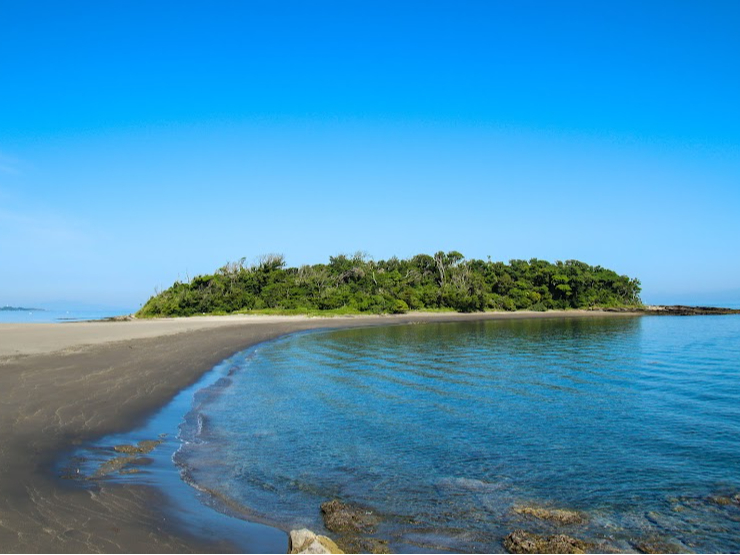 �l�C�̃t�H�g�X�|�b�g���m���ɂ����]�Ԃ�15���ōs���܂��I