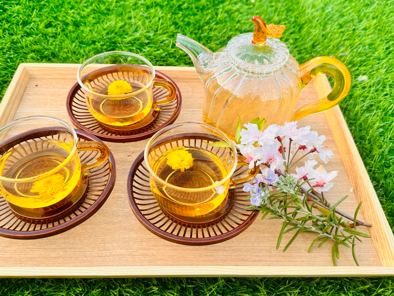 BBQ̂Ƃ͎ƍ͔|̃n[uEŃtbVn[ueBy݉(^^j