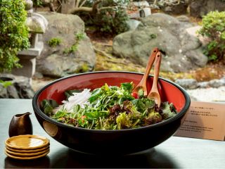 A salad experience harvest vegetables and arrange them on a platter to savor.