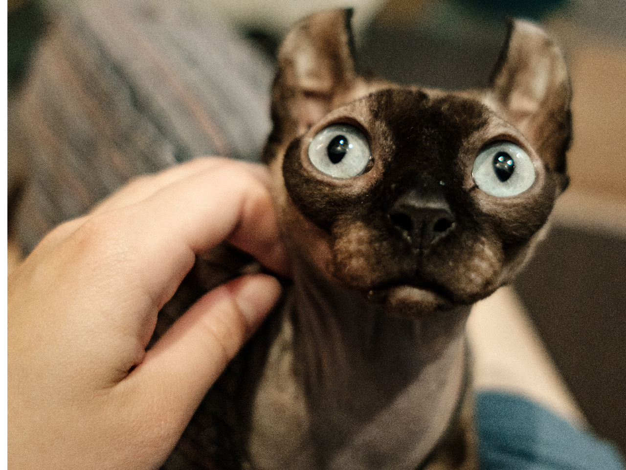 �������Q�X�g�n�E�X�@�v�X�̎ʐ^4