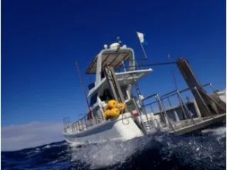 自動昇降機(パワーリフト)付きのボートは、エントリーとエキジットが非常に楽で、 お客様からも好評を頂いております。