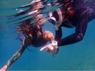 色とりどりの海の生物に会えるかも