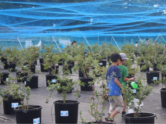 ͖hV[g~AhlbgݒuŉKɃu[x[̓Eݎy݉B