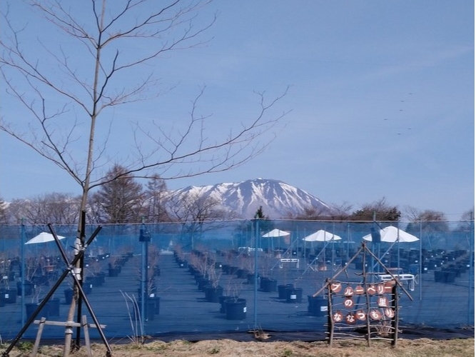 _͊̃V{RNbLƒ߂邱Ƃo܂B