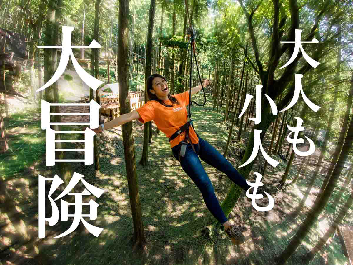 フォレストアドベンチャー 箱根のレジャー アクティビティ じゃらん遊び体験 フォレストアドベンチャー 箱根のレジャー アクティビティ じゃらん遊び体験