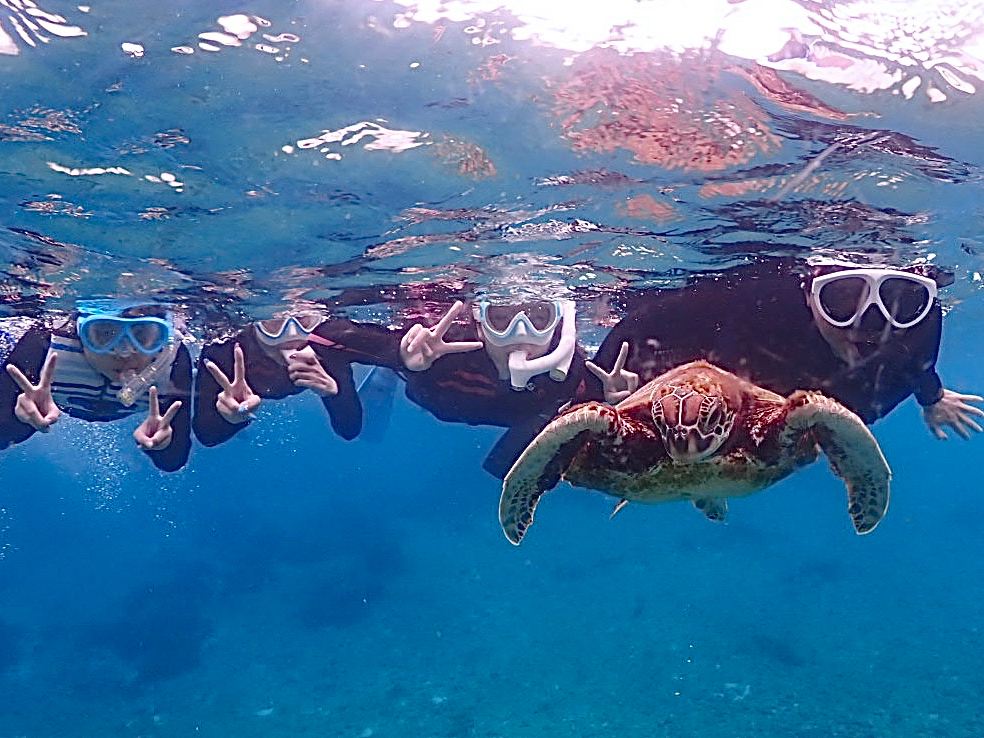 �V���m�[�P�����O�͑��������ʂ����{�Ó��̊C�������邱�Ƃ��ł��܂��B�E�~�K��������99%�I