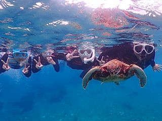 シュノーケリングは蒼く透き通った宮古島の海を感じることができます。ウミガメ遭遇率99%!