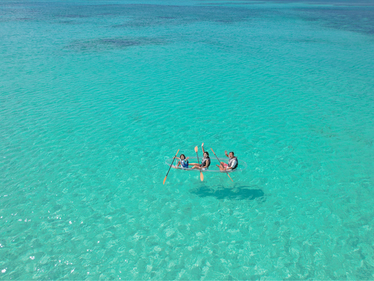 �h���[���B�e�t���̂��̃v�����I�󂩂�ʐ^��������B�e���܂��B�c�A�[�I����Ƀf�[�^�ɂĂ��n�����܂��B