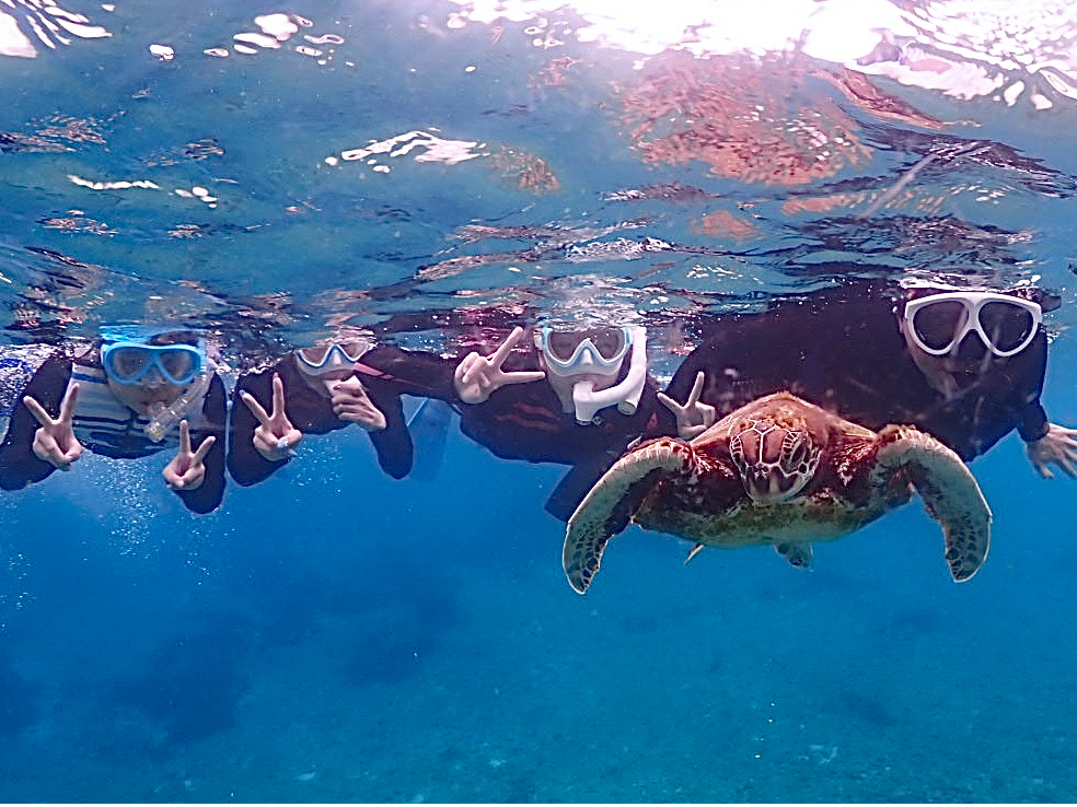 Vm[PO͑ʂ{Ó̊C邱Ƃł܂BE~K99%I