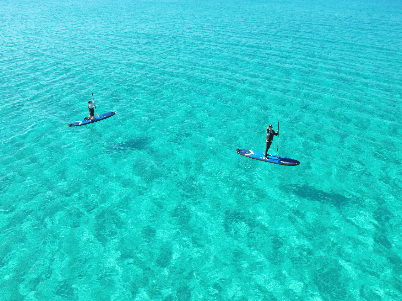 cA[ʐ^Ah[f[^̓cA[IAnv܂I