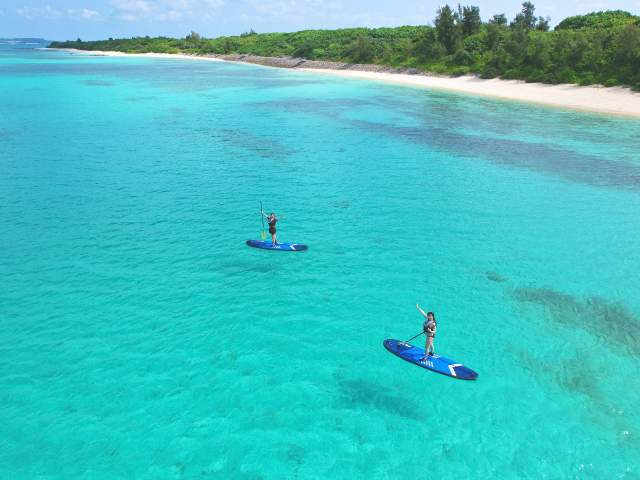 uKẴX^[gȂ̂ŁAS҂łSĎQł܂I