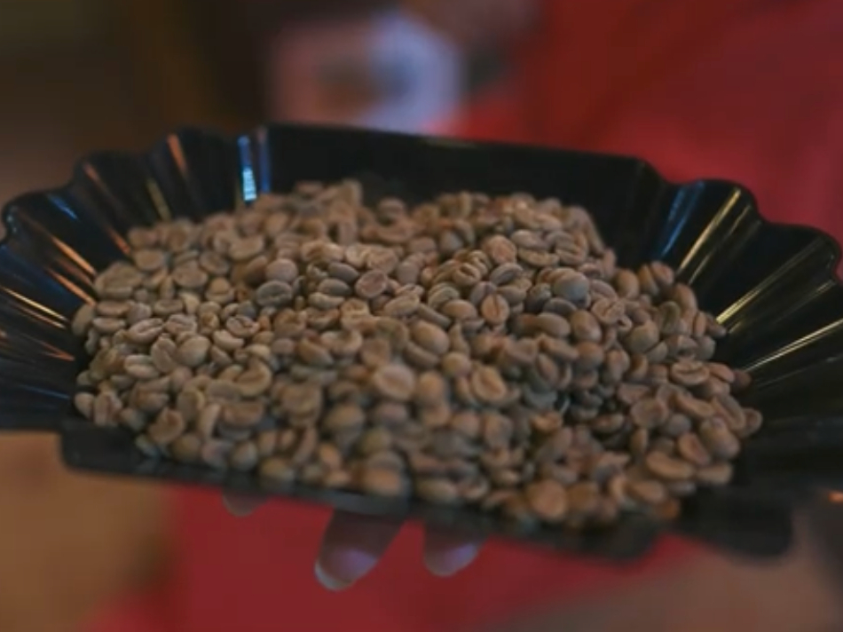 @̌ƂȂw̐x  wO[r[YxƂĂ΂܂B