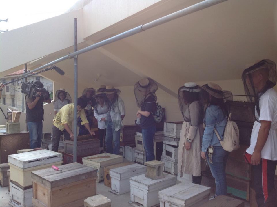 �I�ꌩ�w��