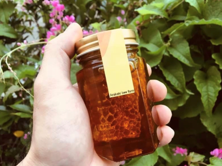 首里城から徒歩10分♪】老舗はちみつ屋さんのミツバチ教室☆お子様歓迎