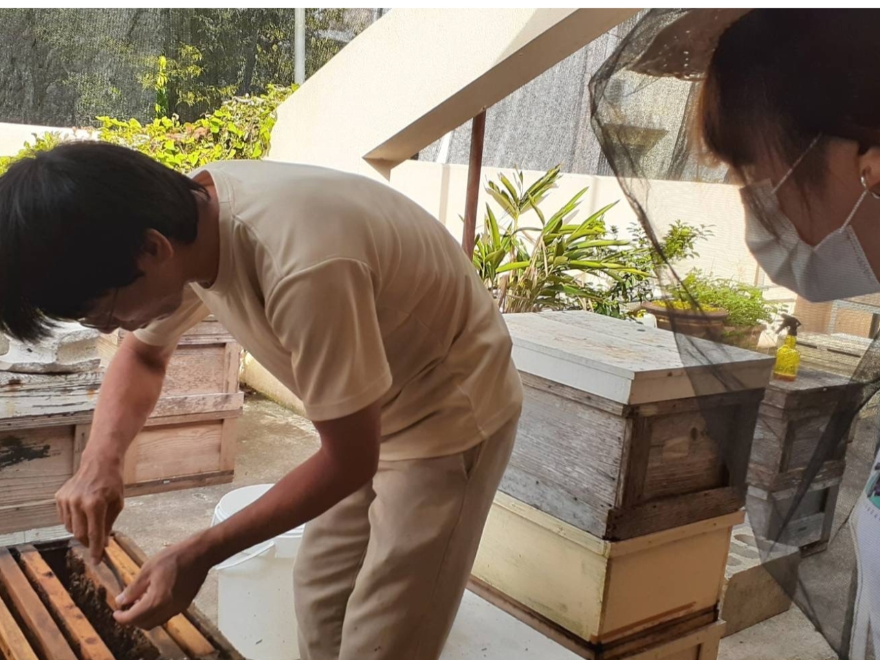 �~�c�o�`�͂ƂĂ����ƂȂ����̂ň��S���Ă��������ˁ�