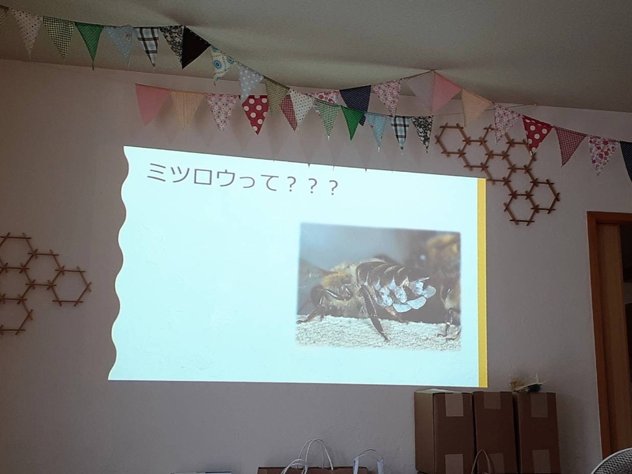 Lh̑OɃ~cEɂĊwт܂􂨎ql͂lĂy`I