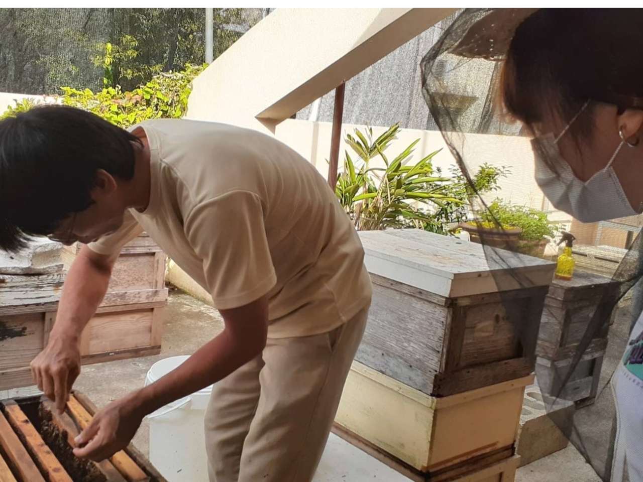 wsĂ܂~co`͂ƂĂƂȂ̂łSI