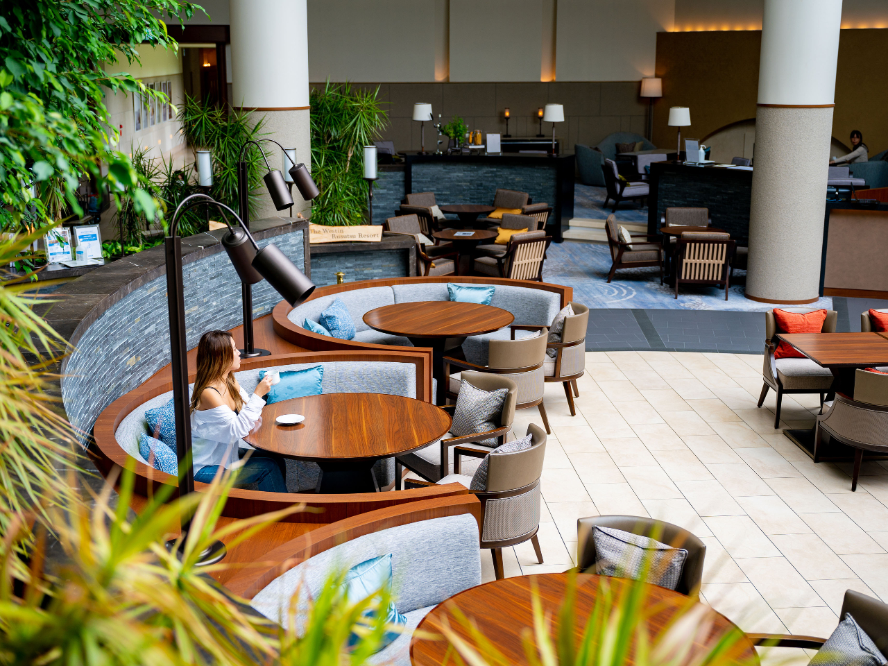 �V�䂩������������邢�X��