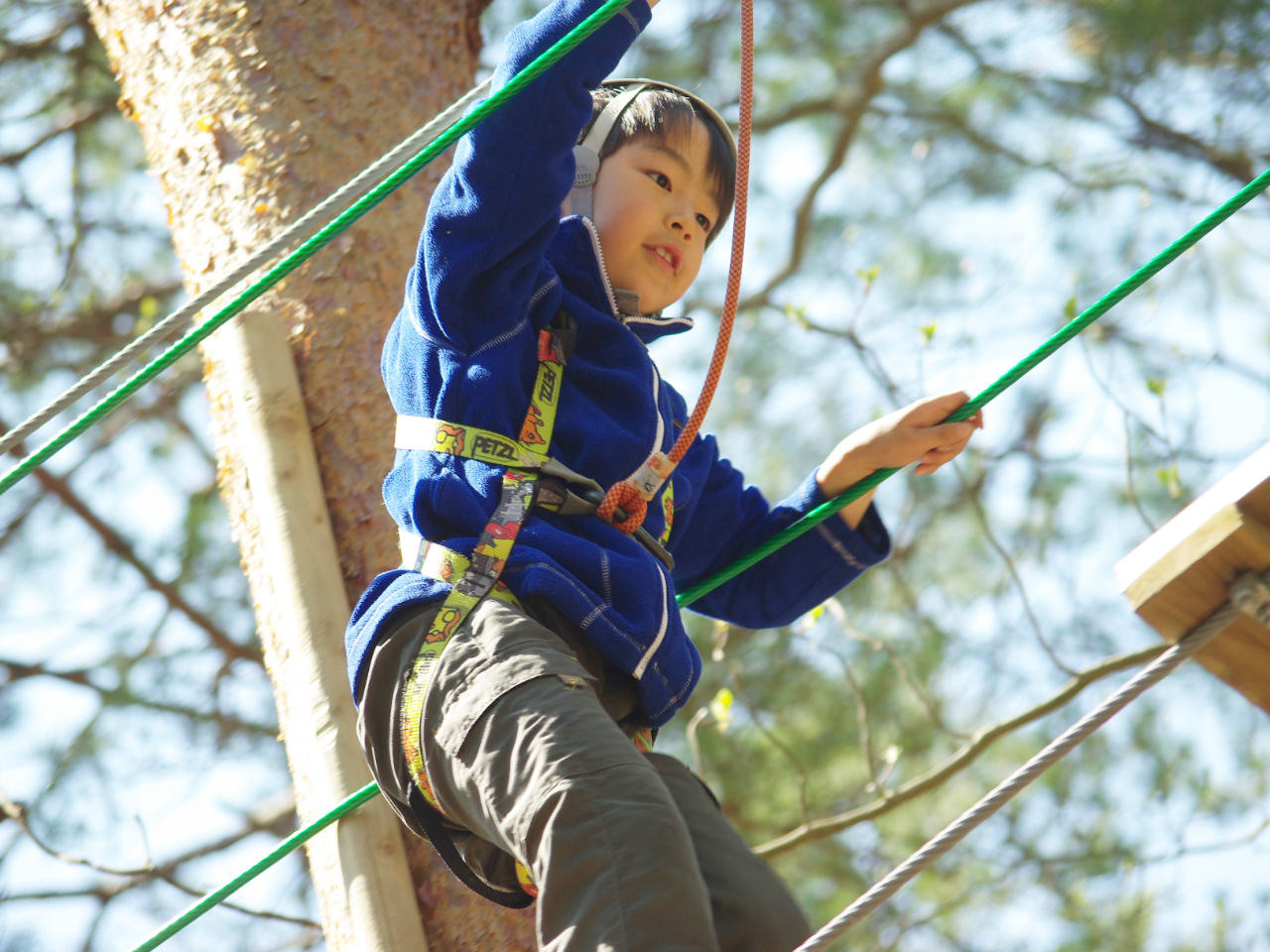 長野のアスレチック フィールドアスレチック等 ランキングtop10 じゃらんnet