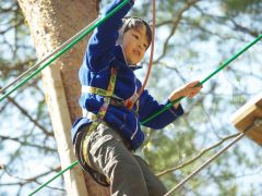 長野のアスレチック フィールドアスレチック等 ランキングtop10 じゃらんnet