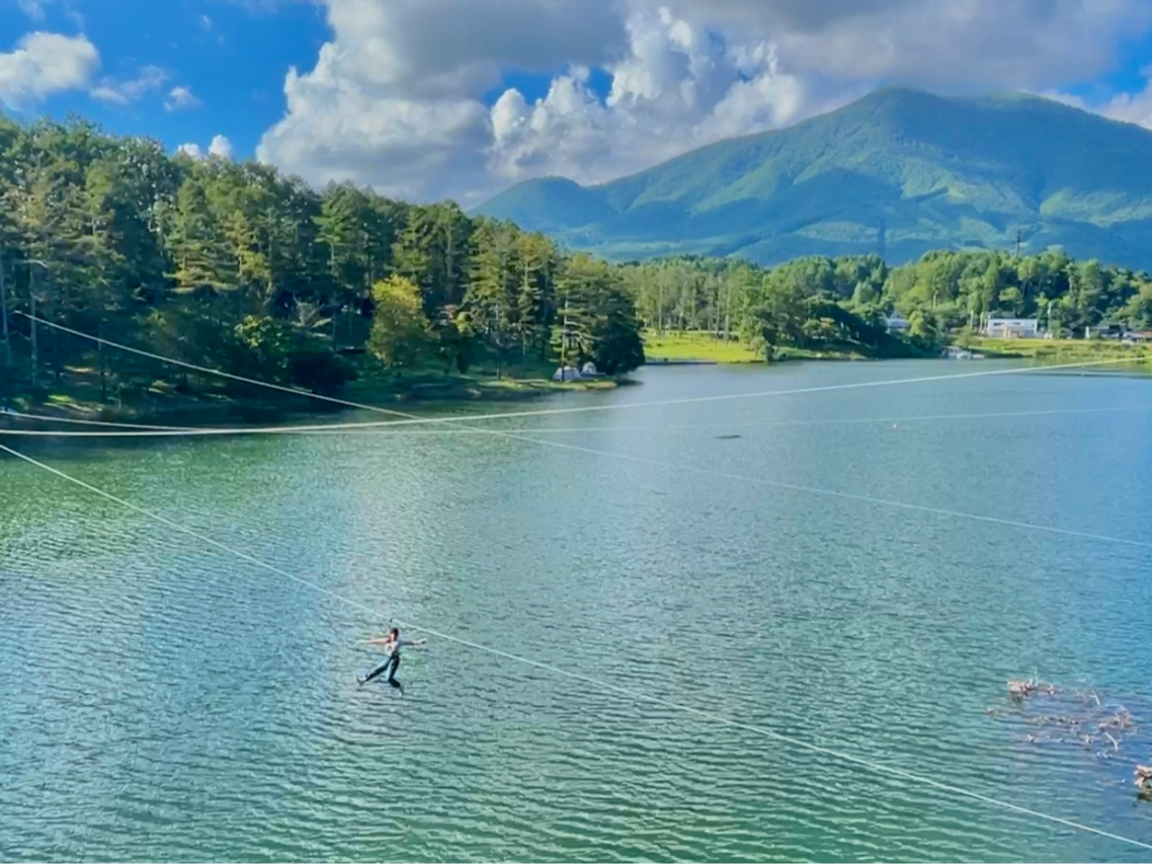 �эj�R���o�b�N�ɑ���@�t�r���z����W�b�v�X���C�h���̌��ł��܂��I