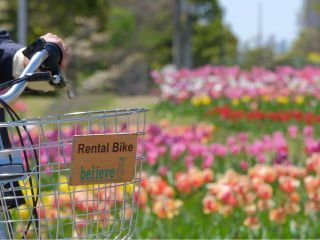 自転車だからこそ、ふとした発見を楽しめます♪