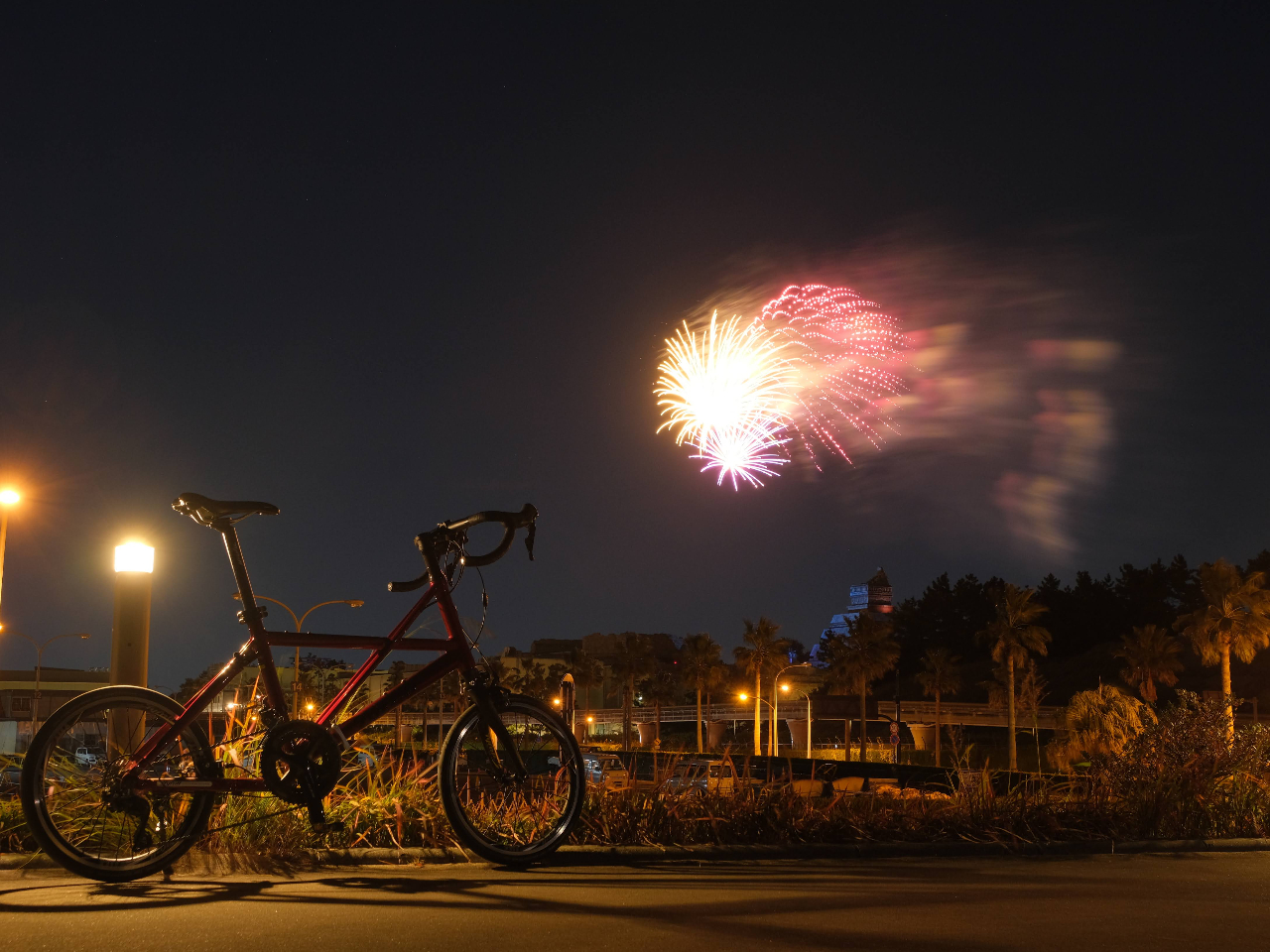 �e�[�}�p�[�N�̉ԉ΂����y���݂ɂȂ肽�����͂����p���ԓ���x���⍇�����������I