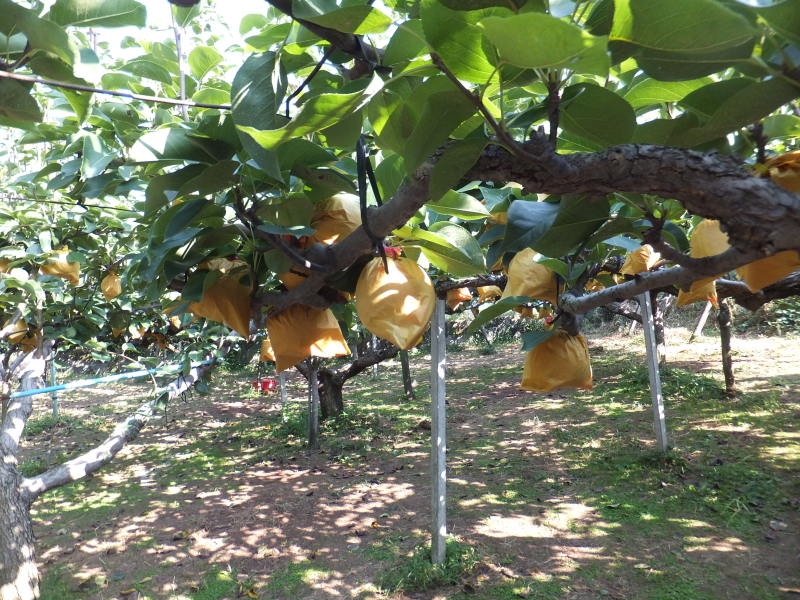 �肪�͂��₷���Ƃ���ɂ������񂠂�܂��I