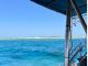 南国の海!!